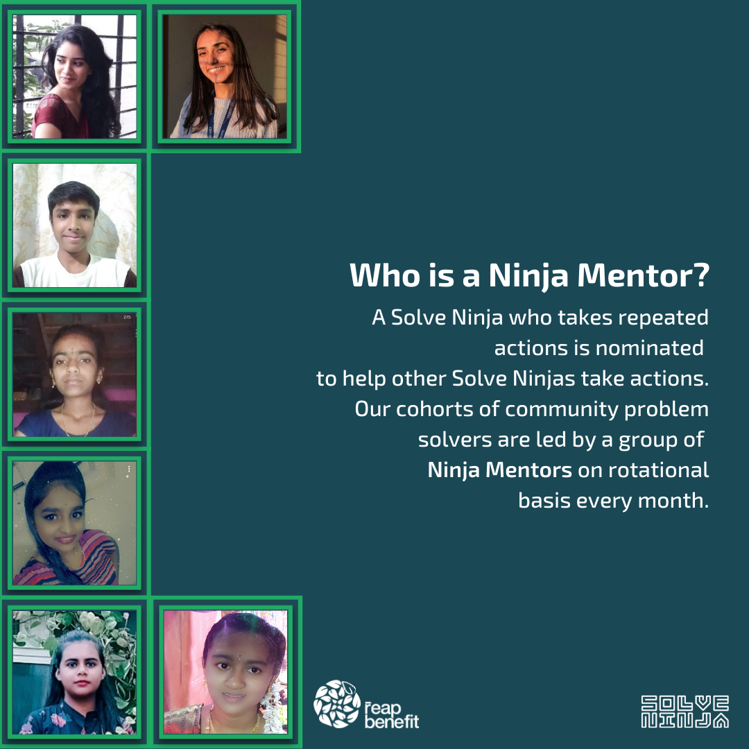 🌱 Mentorship Circle – Learn from the best!